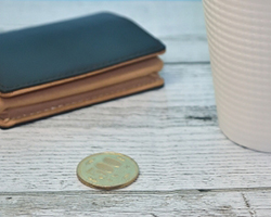 診断費用はワンコイン